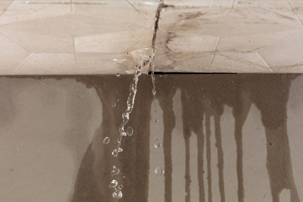 Professional Structural Drying technician working in New Weston, OH